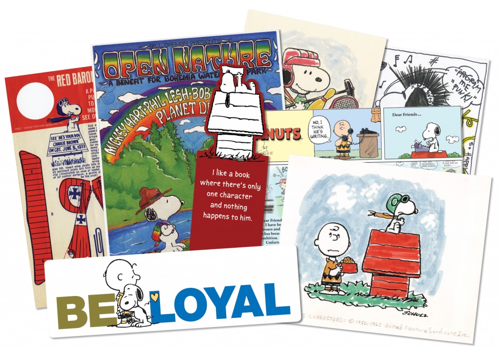 The Snoopy Treasures