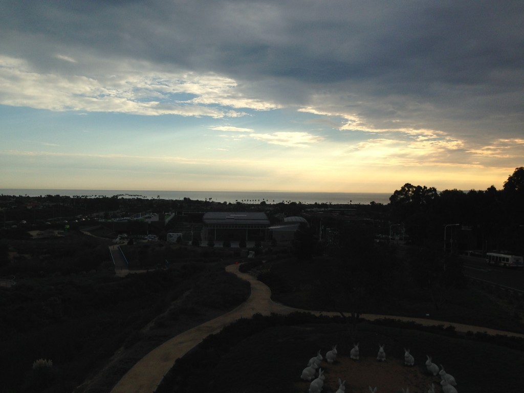 Newport Beach Sculpture Garden