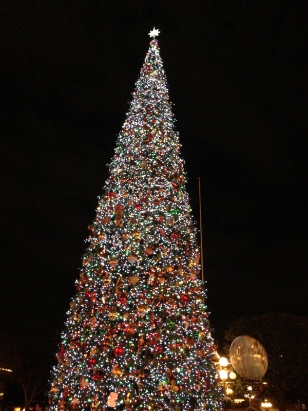 tree