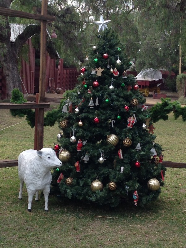 christmas tree