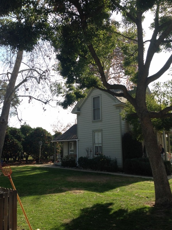 the weber house