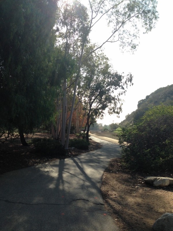 trail