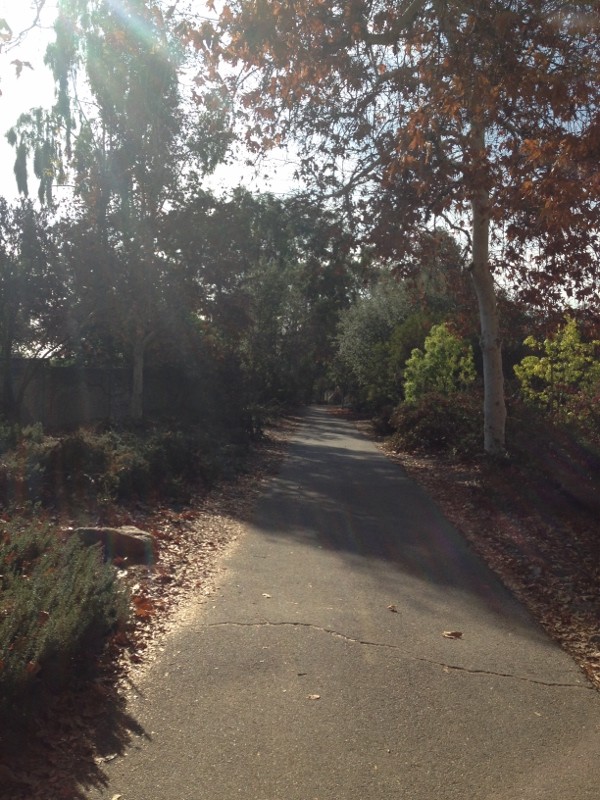 trail