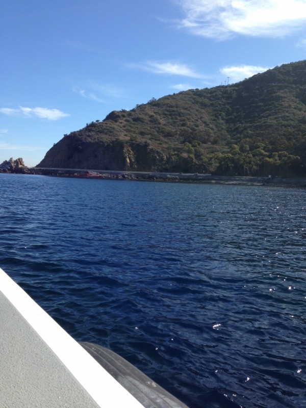 catalina