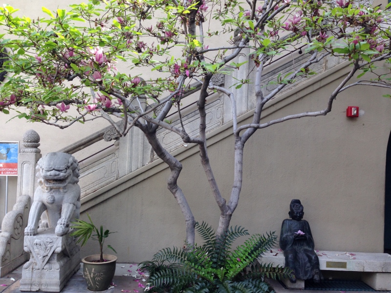 Pacific Asia Museum