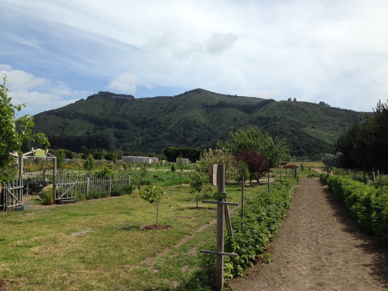 Carmel Valley