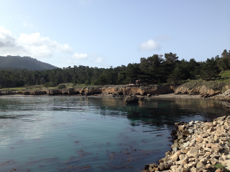 Point Lobos