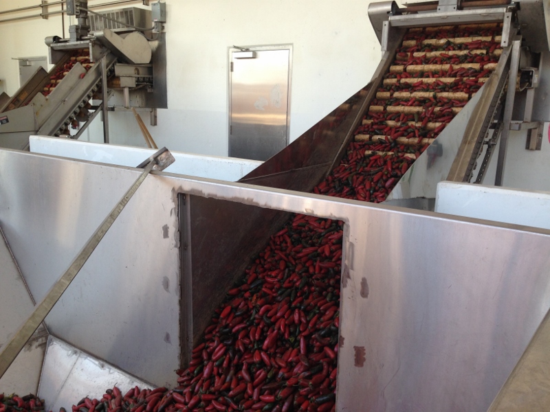 chili peppers