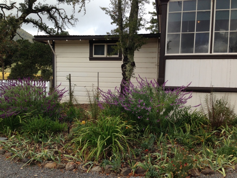 Jack London Cottage