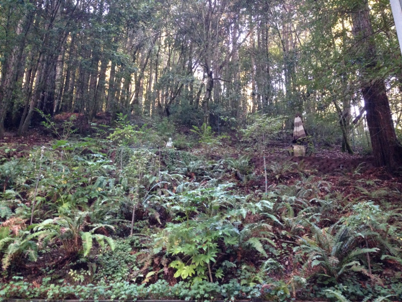 Guerneville
