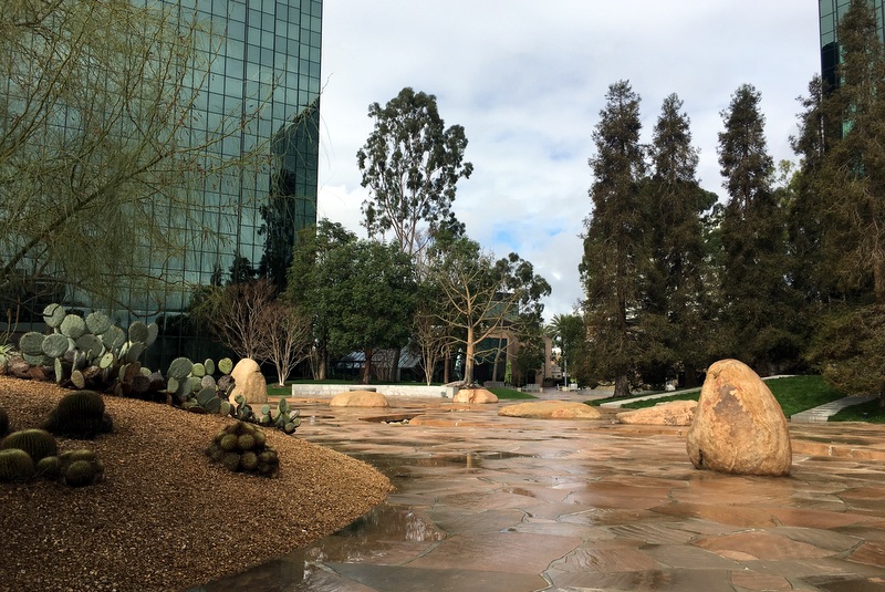 california scenario