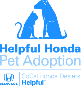 Helpful Honda Pet Adoption
