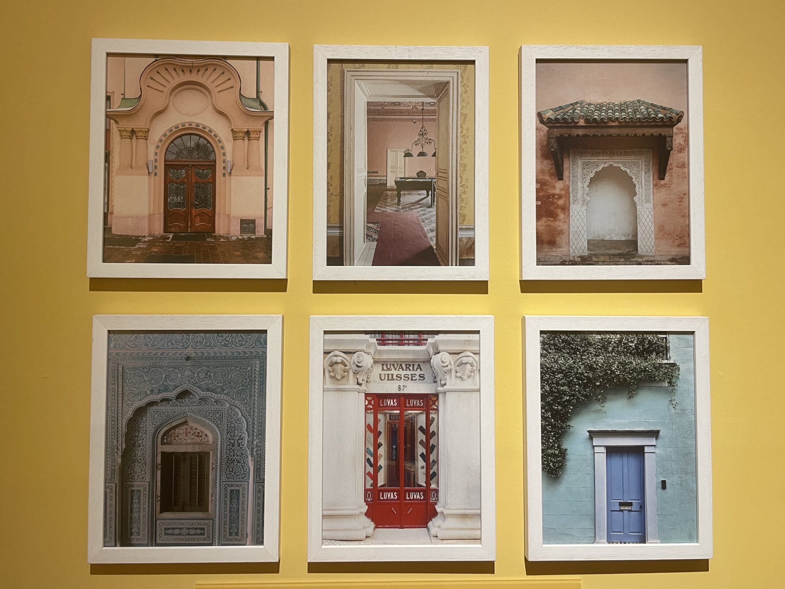 accidentally wes anderson