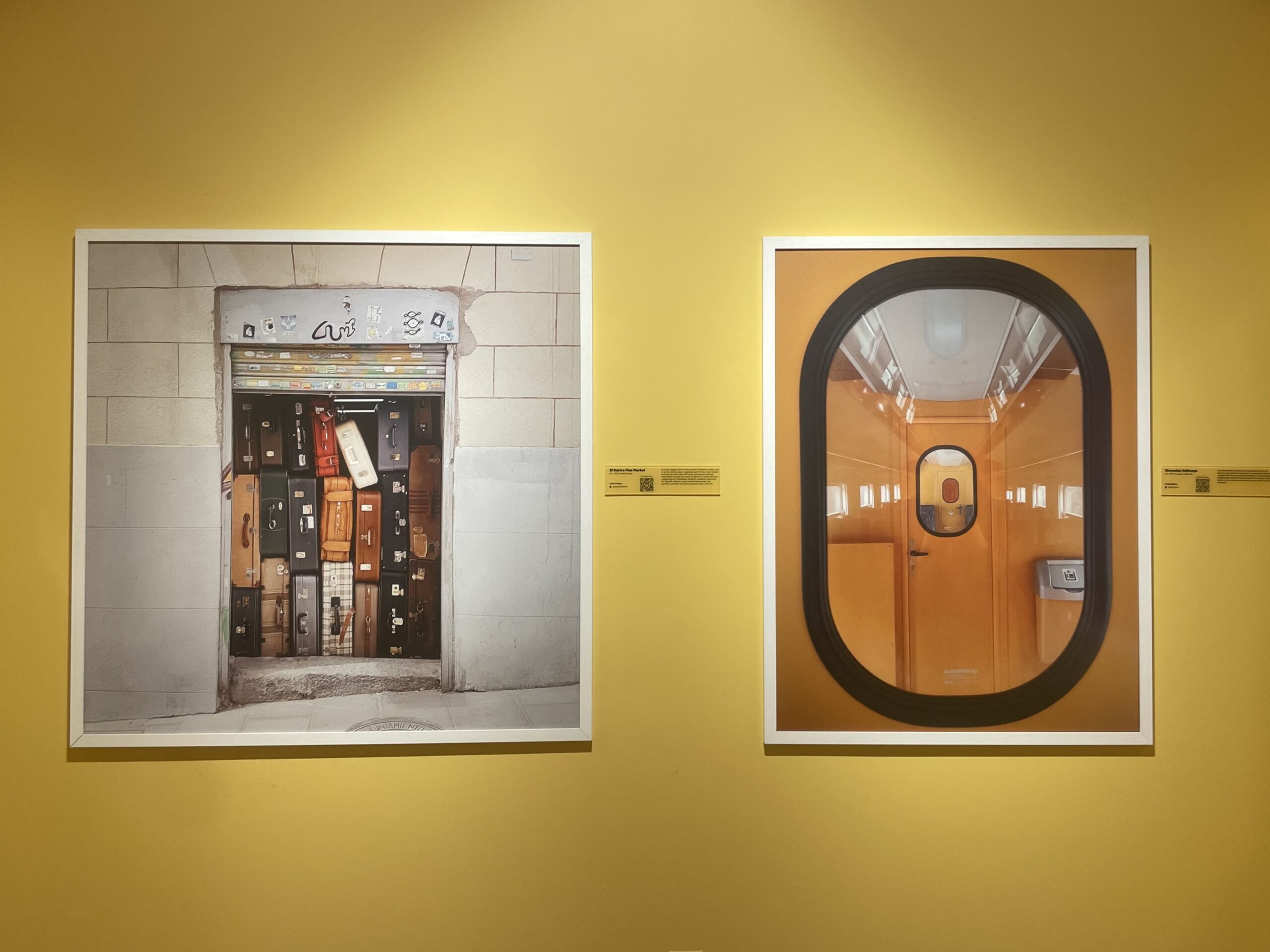 accidentally wes anderson