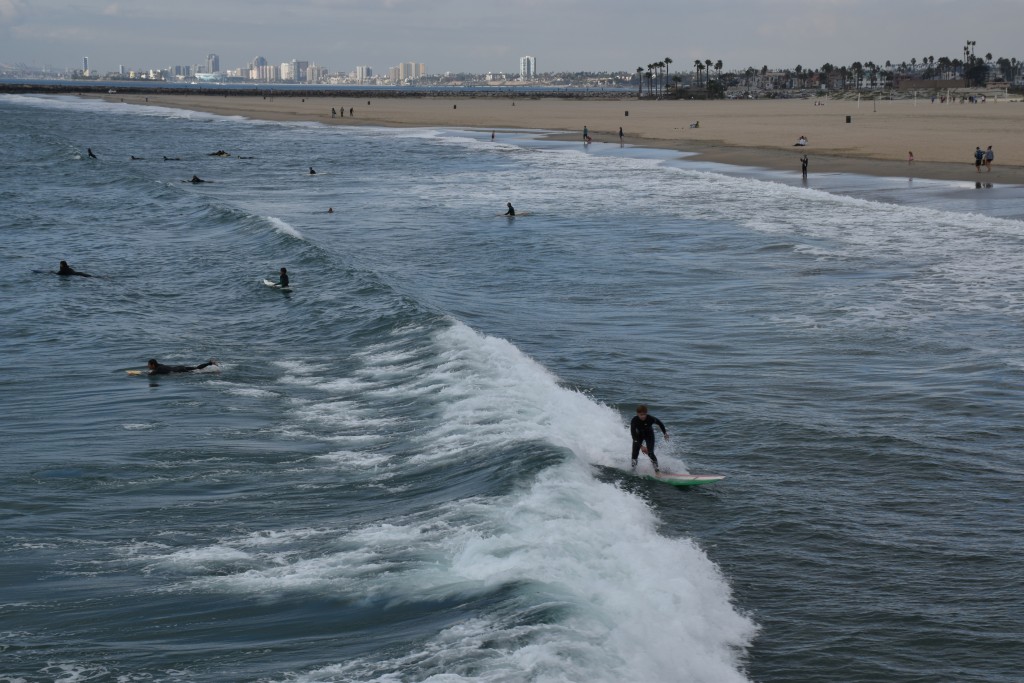 DSC_0017