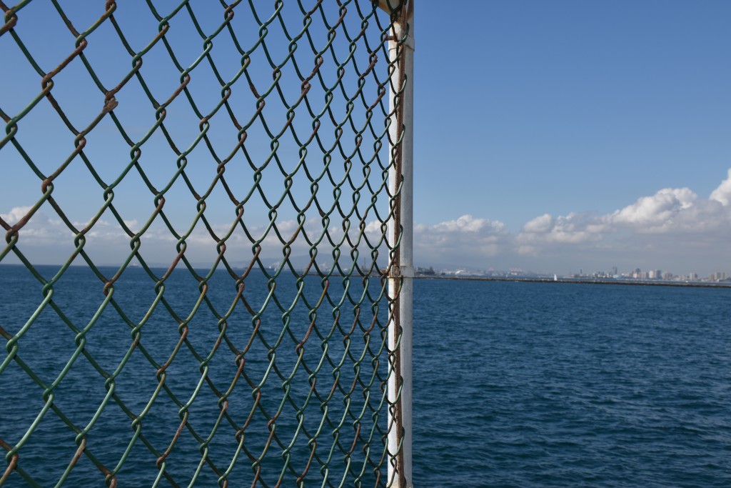 DSC_0039