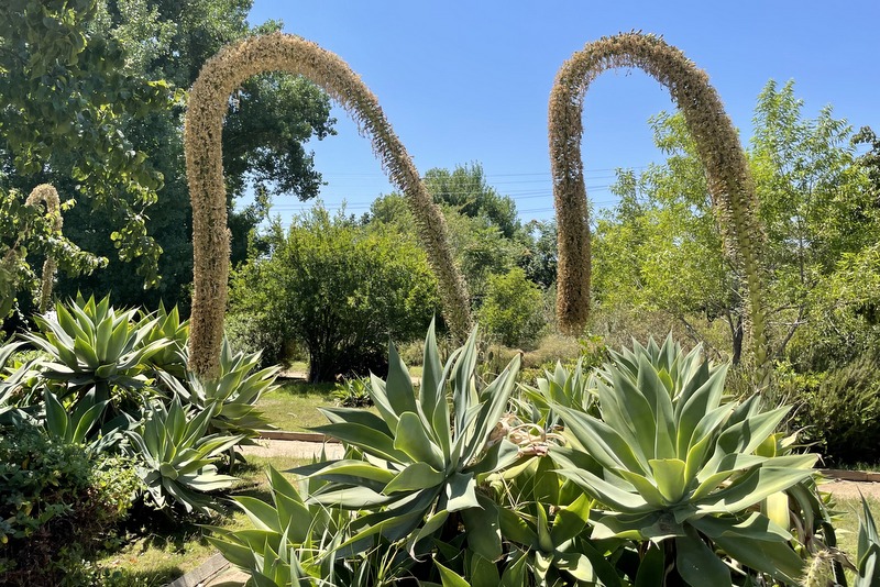 Pio Pico Historic Park 