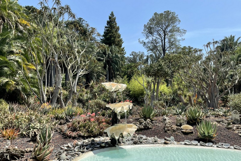 Aloe Garden