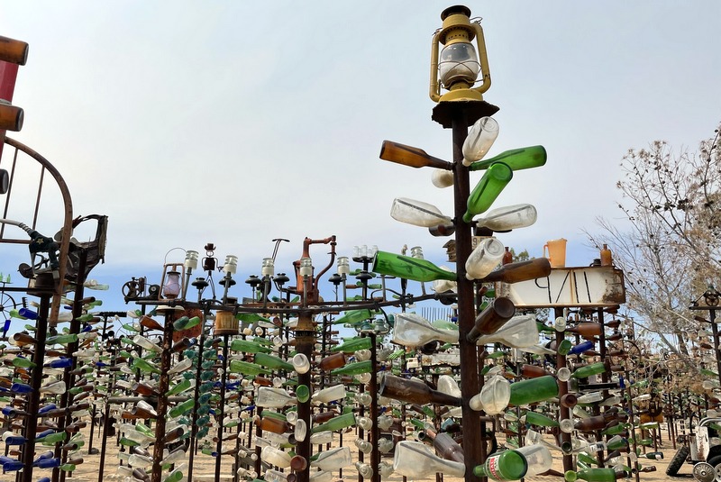 Bottle Tree Ranch 