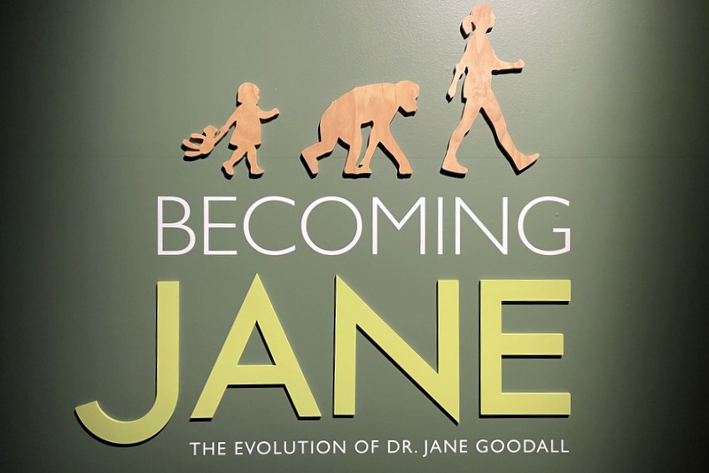 Becoming Jane 