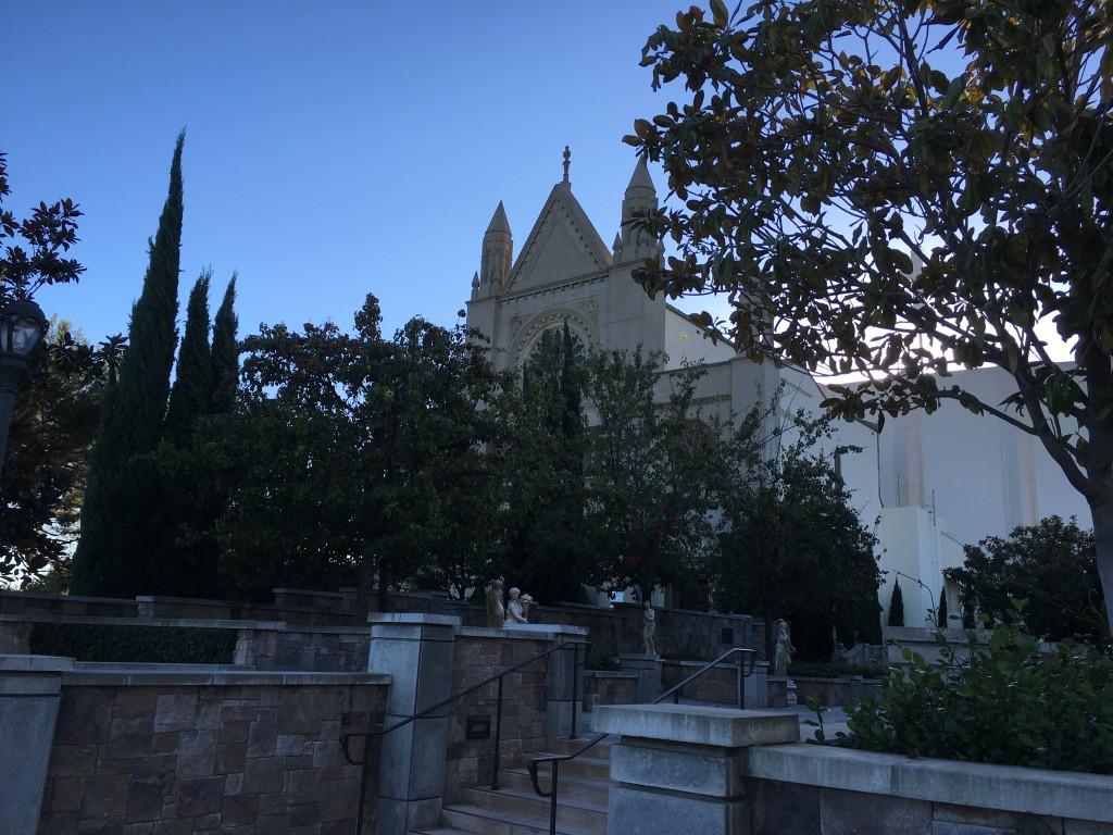 Forest Lawn