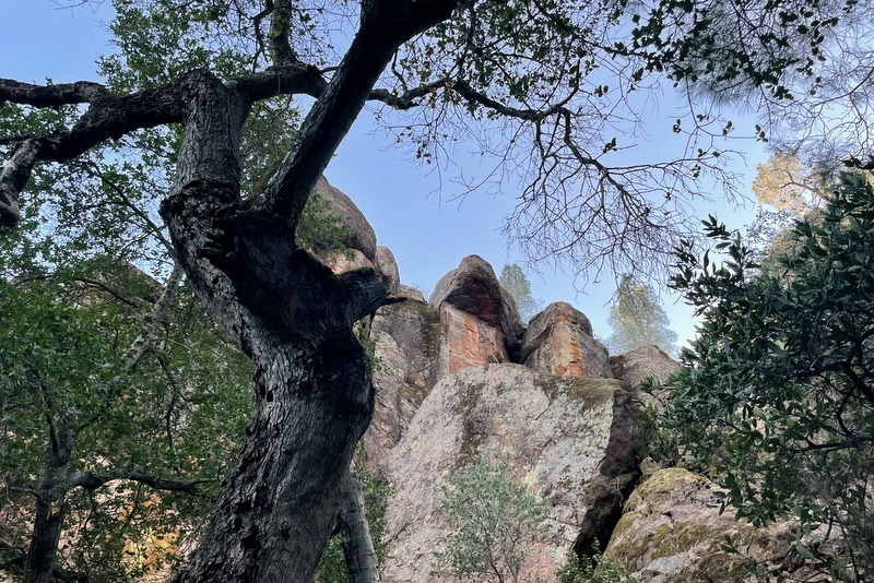 Pinnacles National Park 