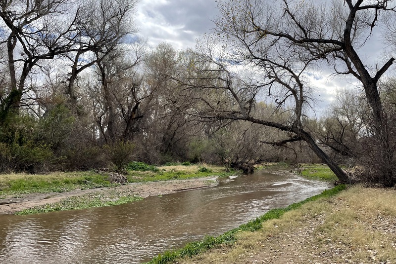 Santa Cruz River 