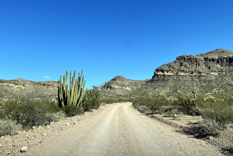 Ajo Mountain loop 