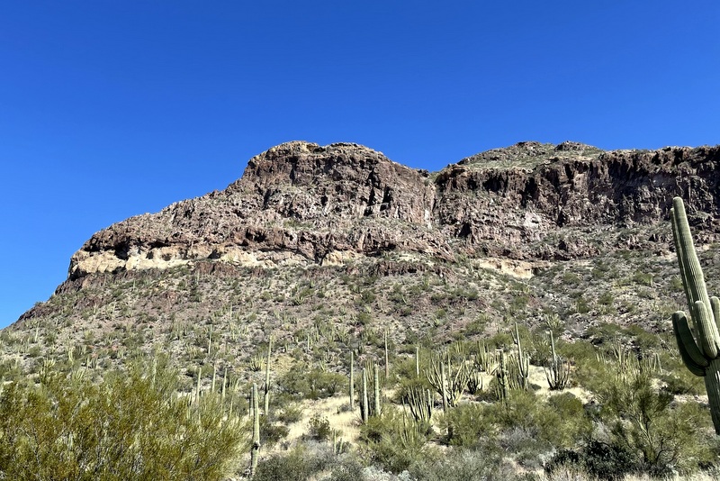 Organ Pipe 