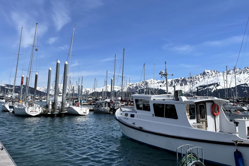 Seward Ocean Excursions 