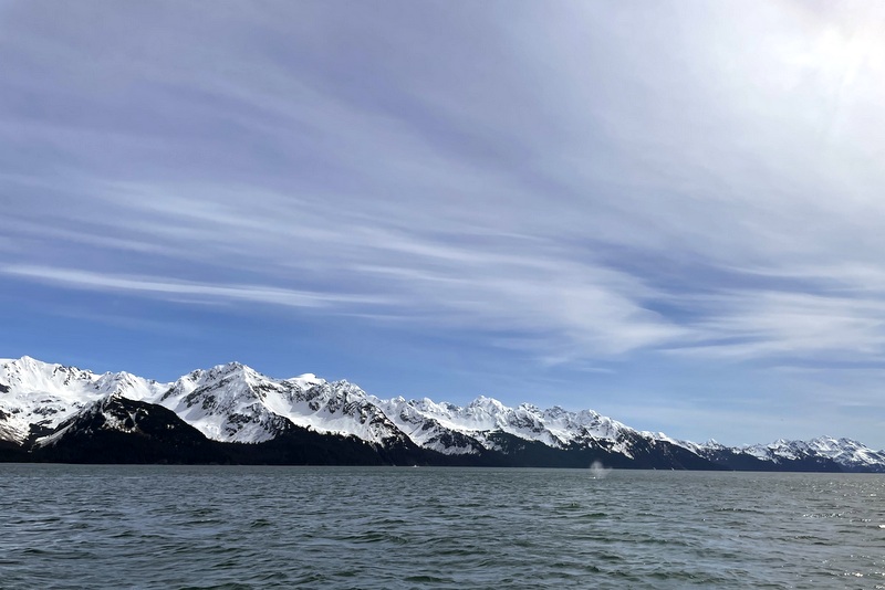 Kenai Fjords