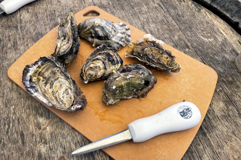 Carlsbad Aquafarm