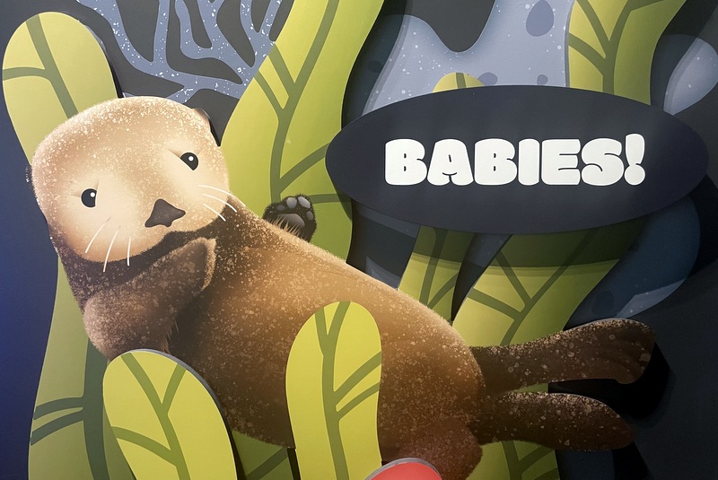 babies aquarium of the pacific