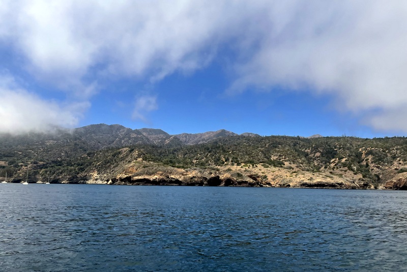 Santa Cruz Island