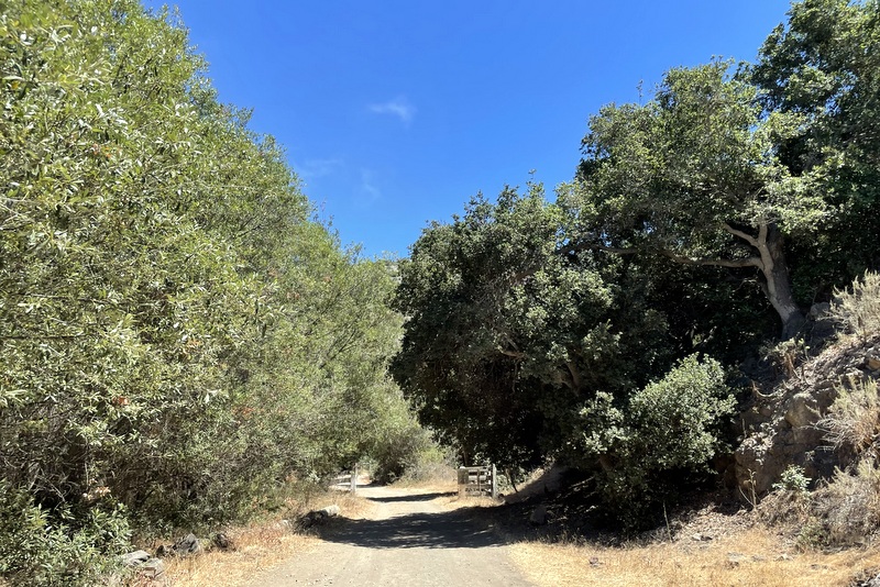 Santa Cruz Island