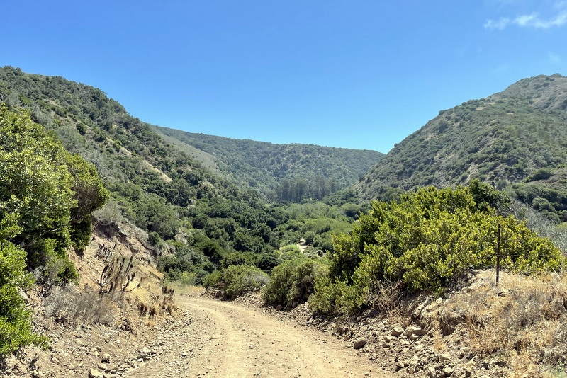 Santa Cruz