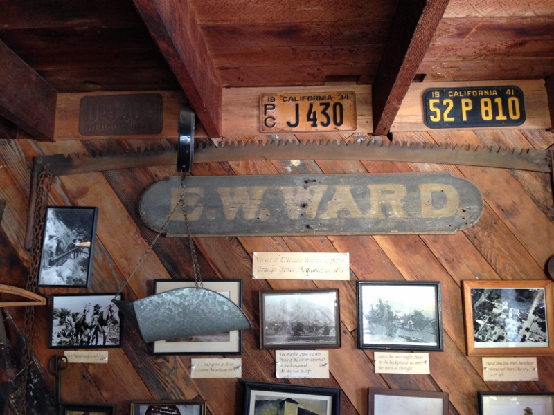 ward musem