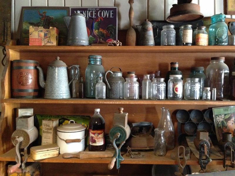 ward museum