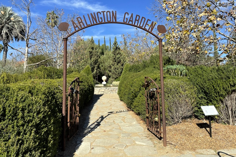 Arlington Garden