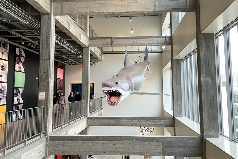 Academy Shark