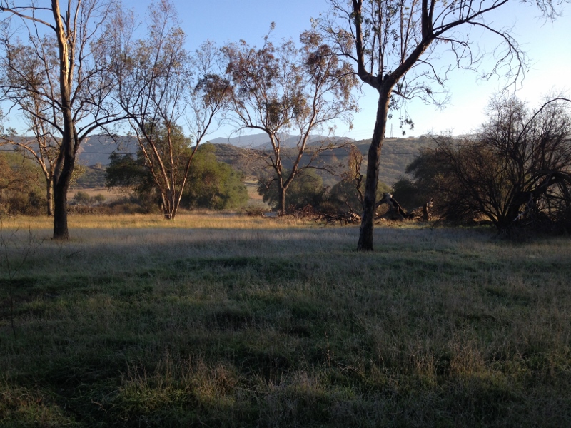 Blackstar Canyon
