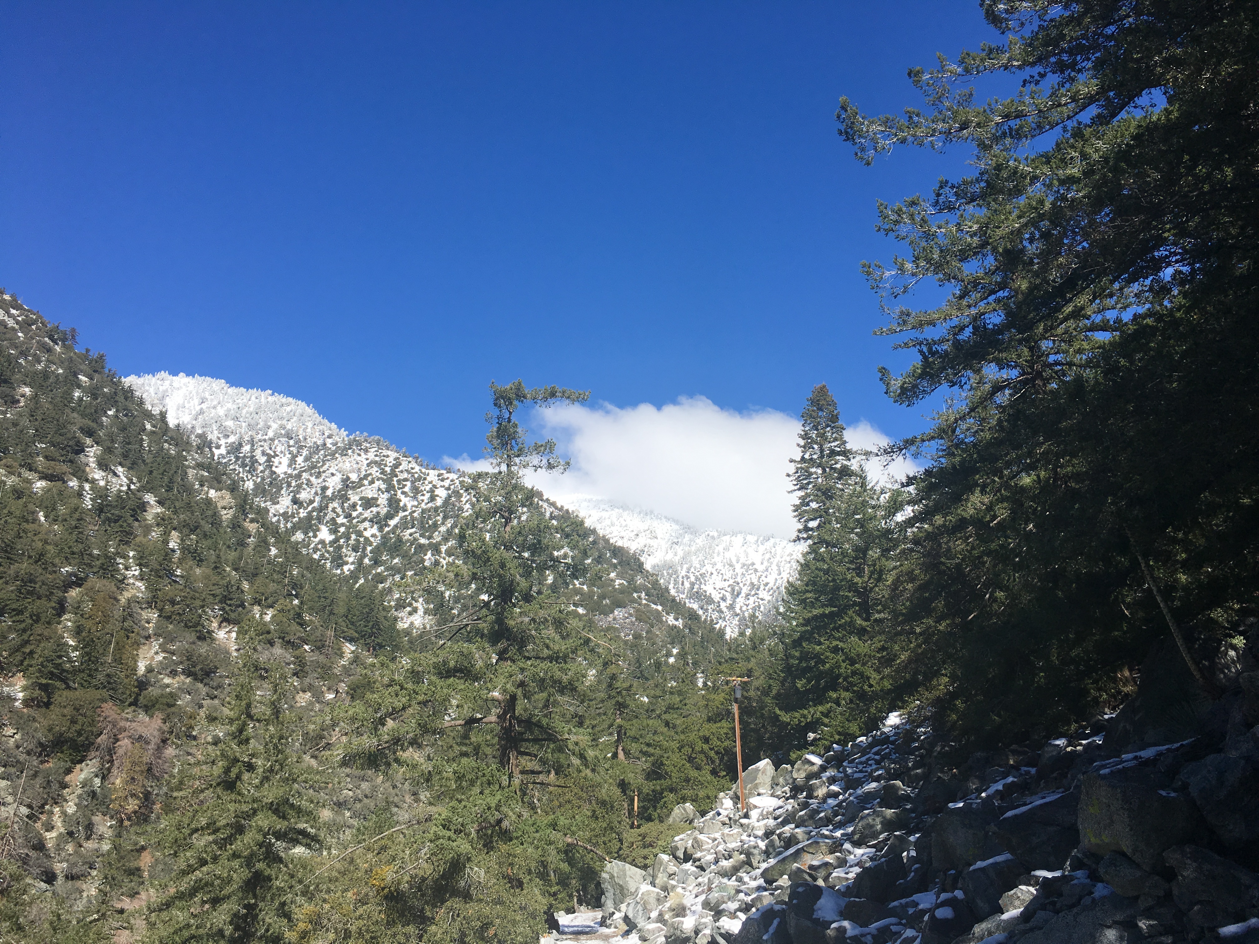 Snow and Sunshine on Mount Baldy - LA Explorer