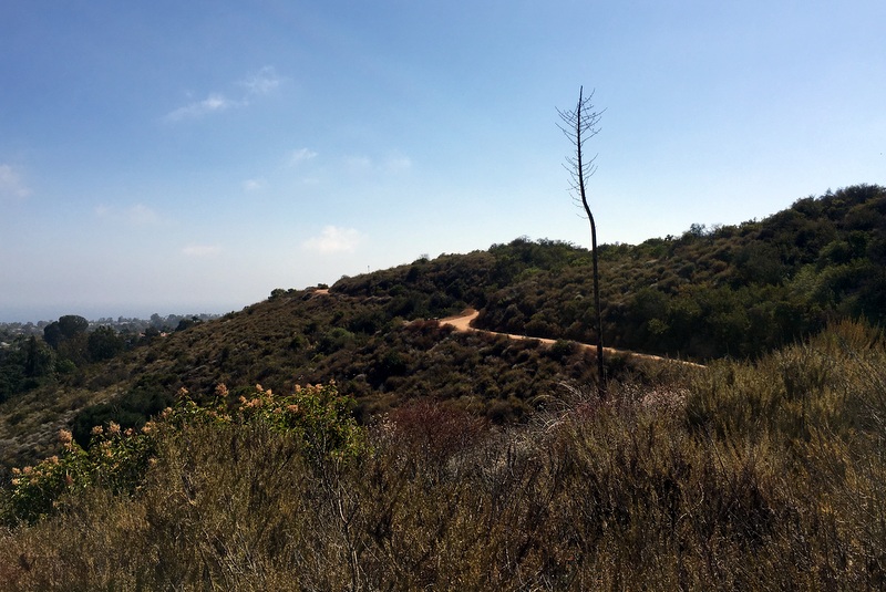 Inspiration Point Loop