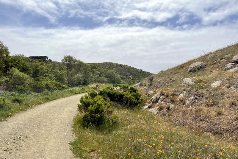 Harmony Headlands 