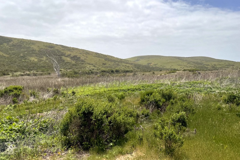 Harmony Headlands 