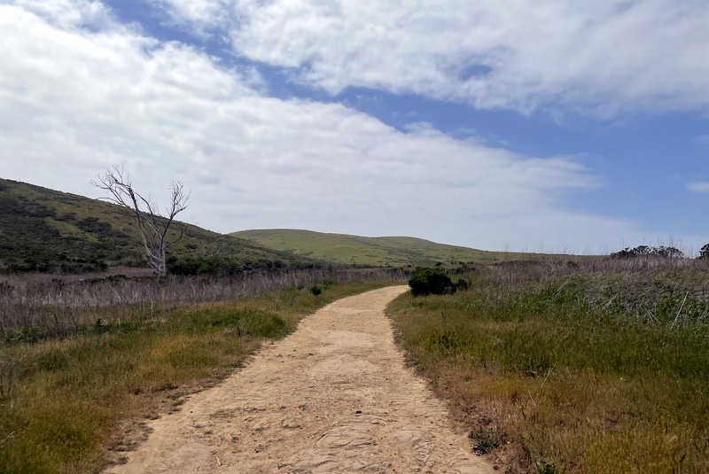 Harmony Headlands 