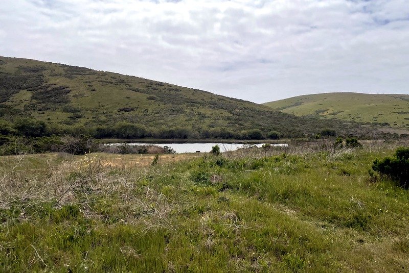 Harmony Headlands 