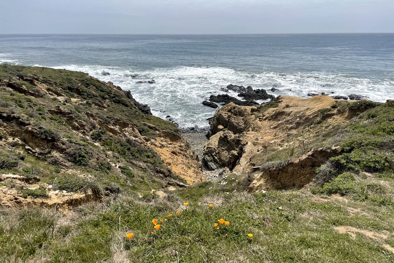 Harmony Headlands 