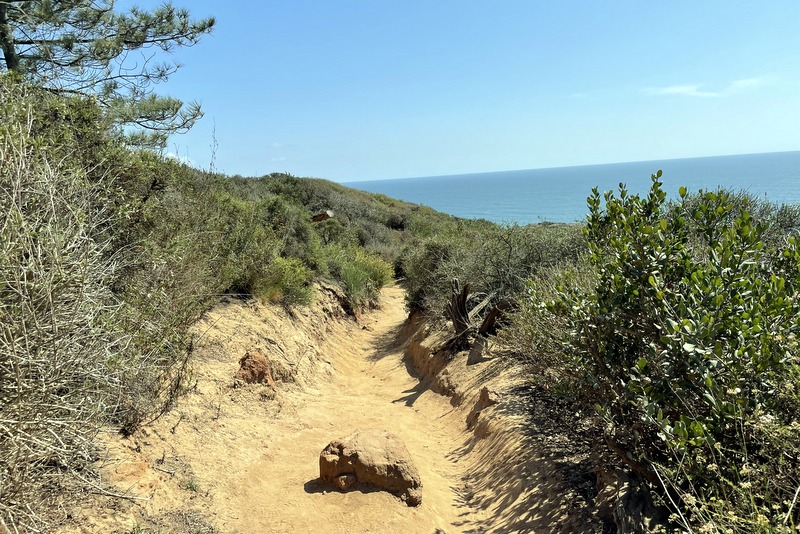Torrey Pines State Rserve 