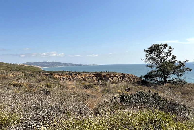 Torrey Pines Reserve